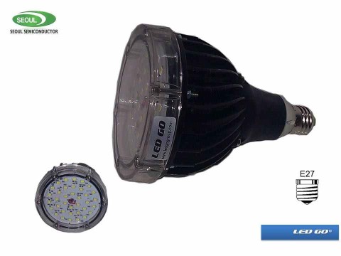 LBI-24 24W LED LAMBA E27 24VAC IP67